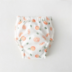 6-Layer Toilet Training Pants / Reusable Diaper