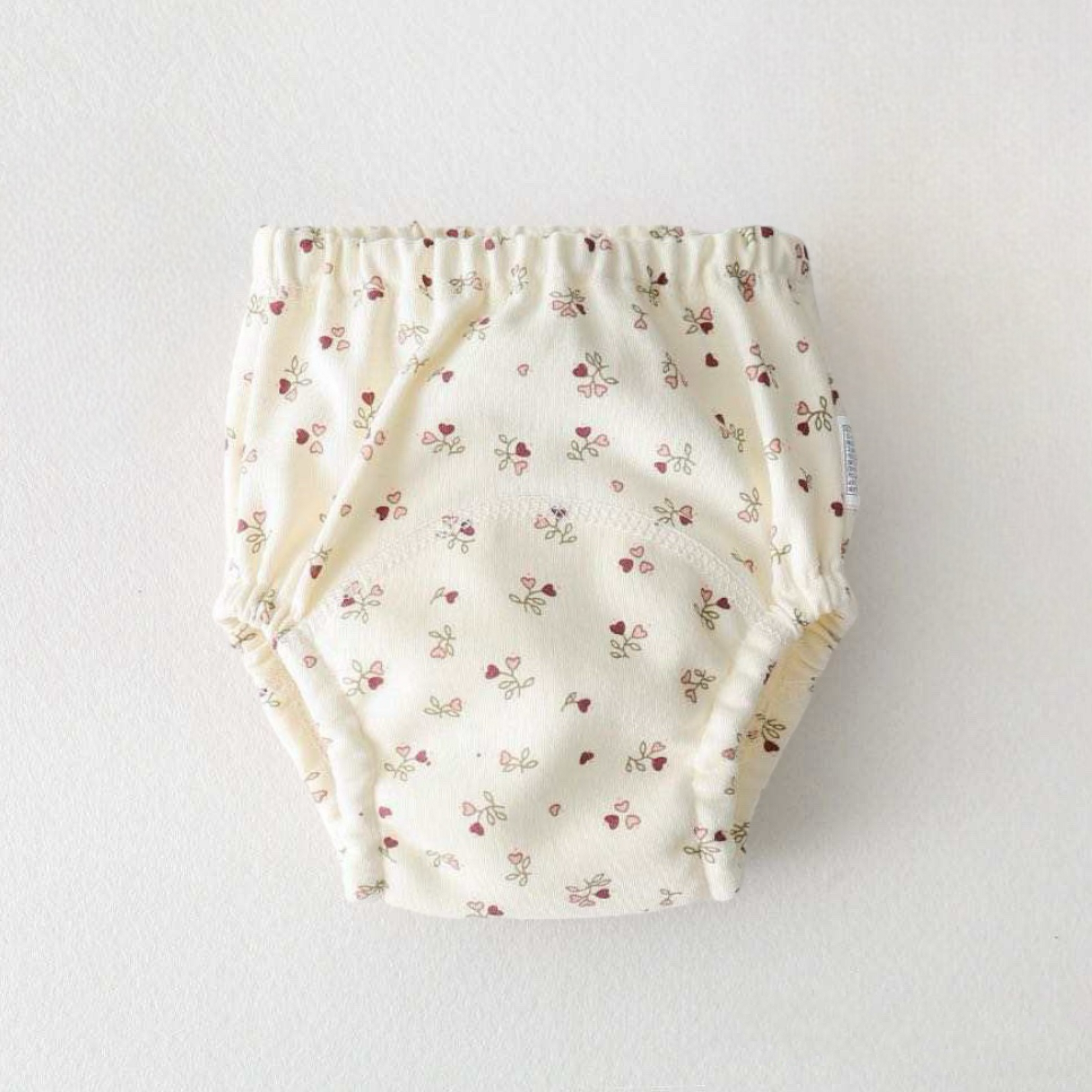 6-Layer Toilet Training Pants / Reusable Diaper