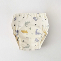6-Layer Potty Training Pants | Reusable Training Pants