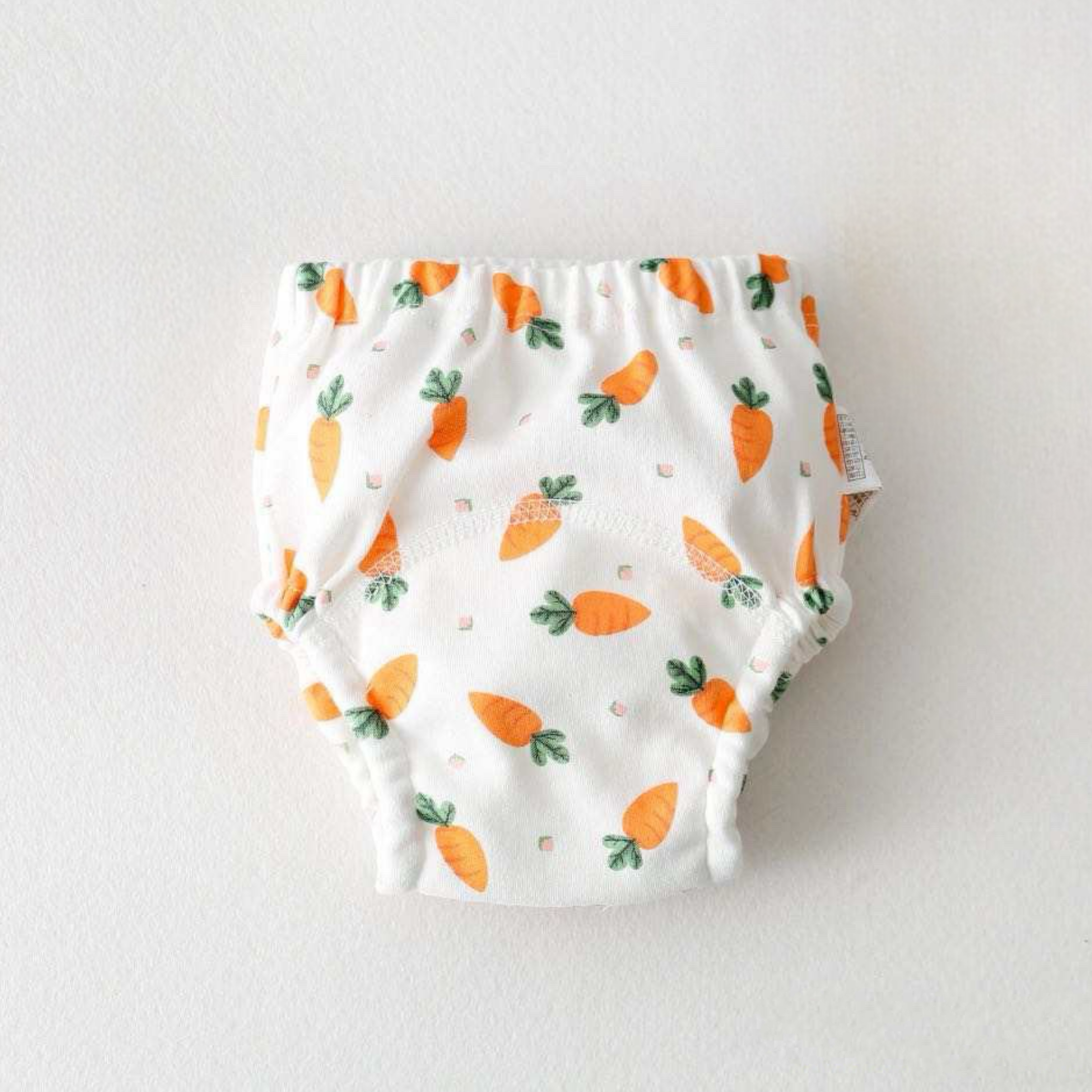 6-Layer Toilet Training Pants / Reusable Diaper