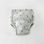 6-Layer Toilet Training Pants / Reusable Diaper