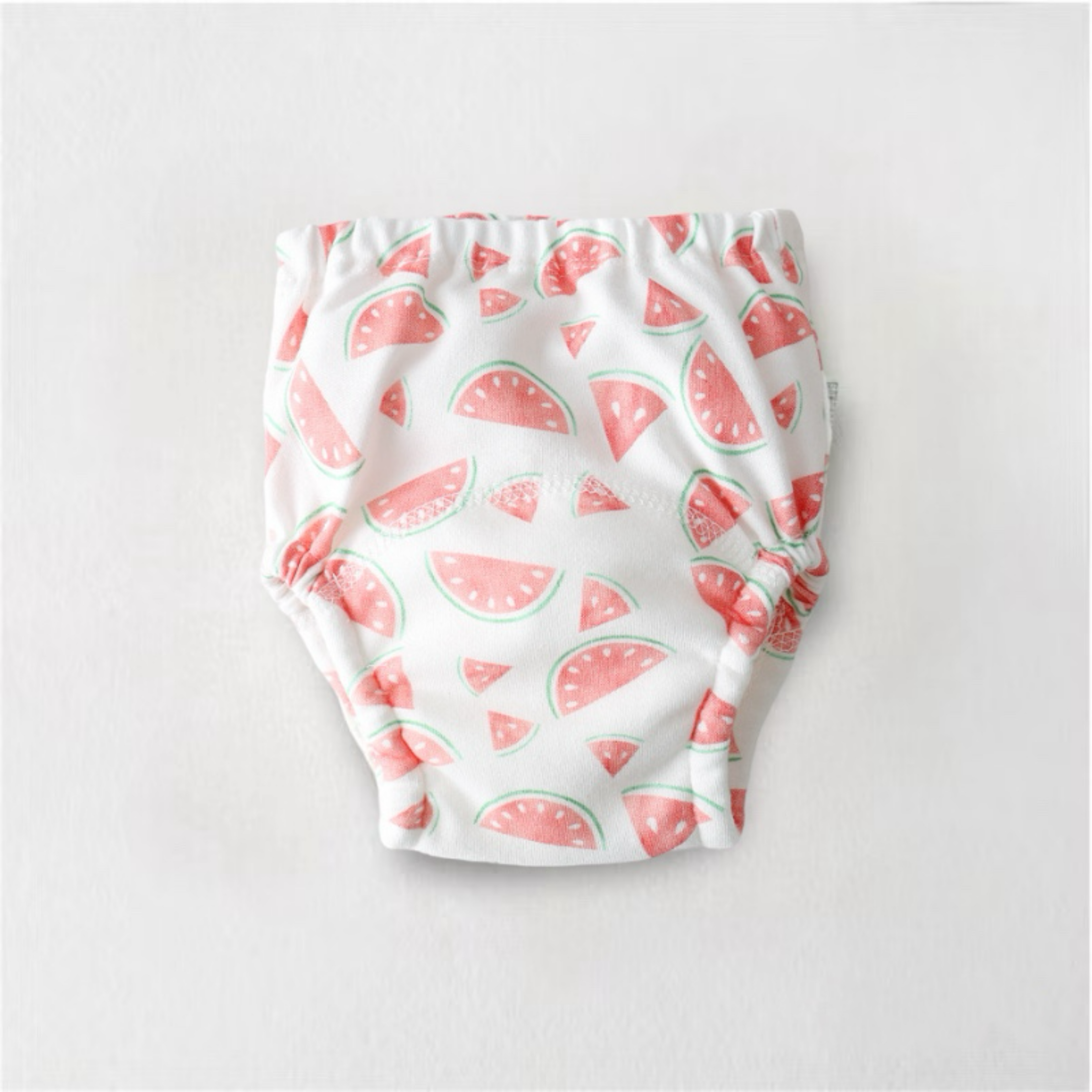 6-Layer Toilet Training Pants / Reusable Diaper