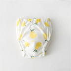 6-Layer Toilet Training Pants / Reusable Diaper