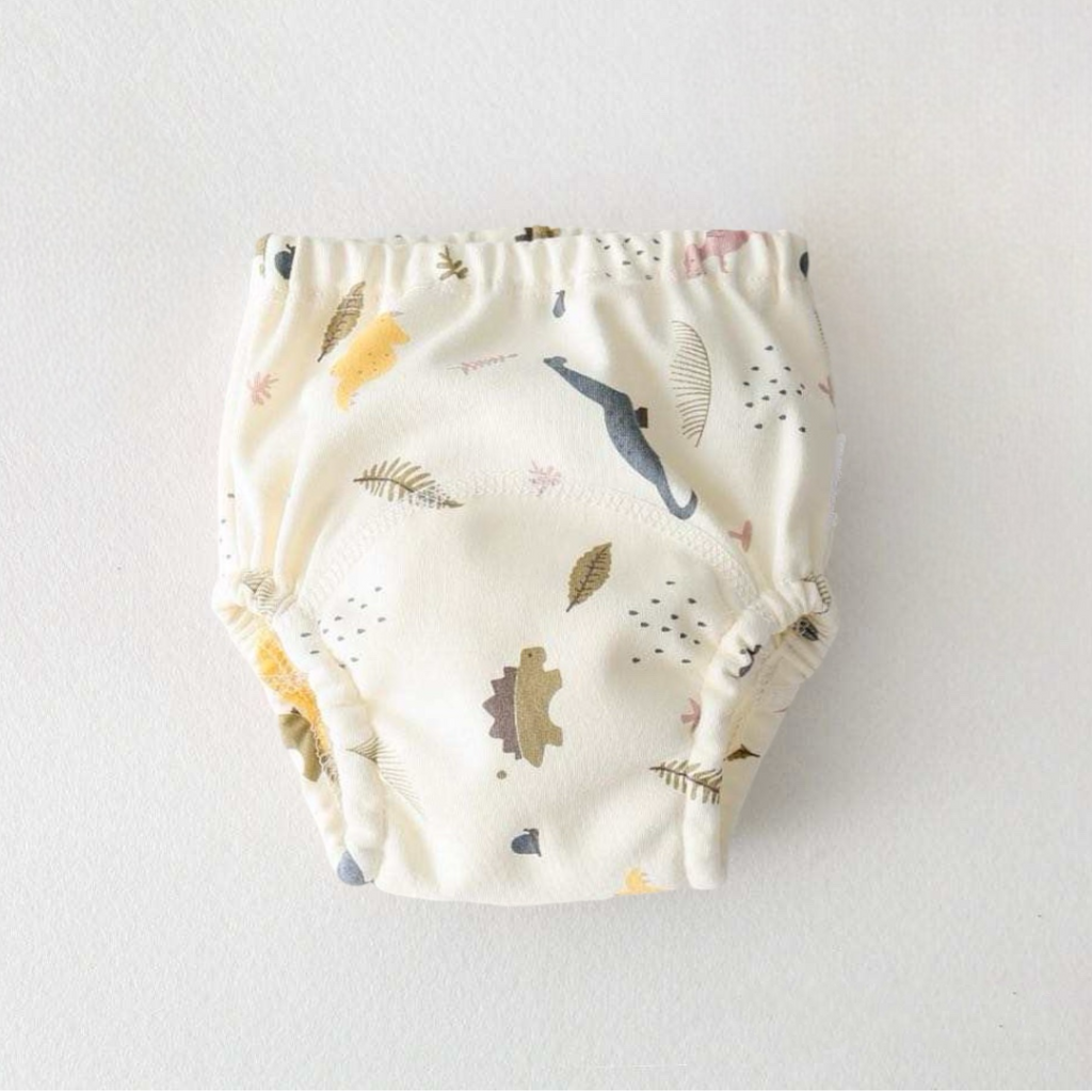 6-Layer Toilet Training Pants / Reusable Diaper